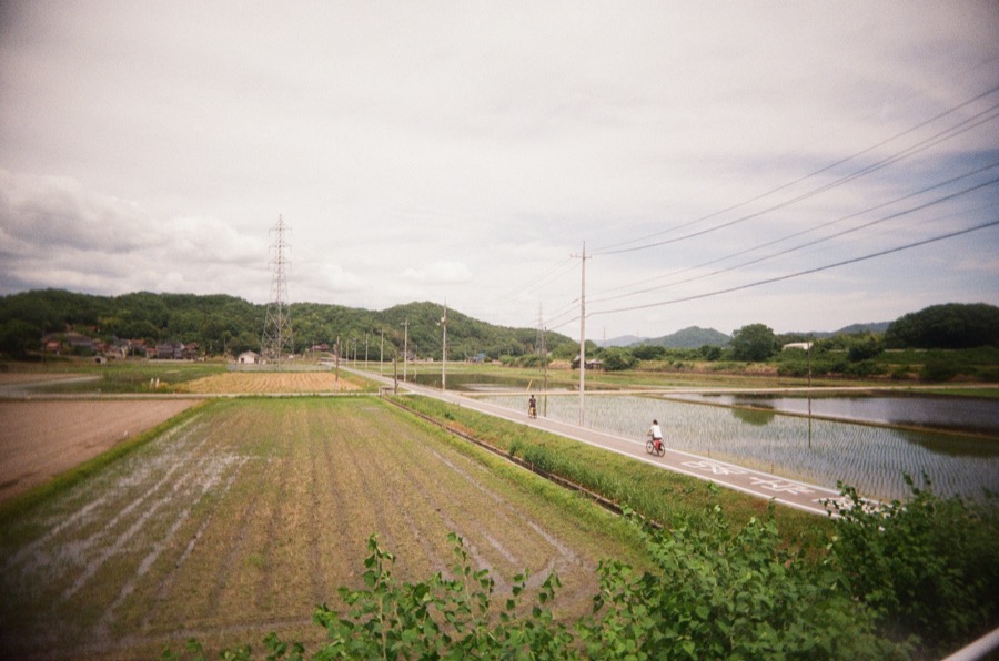Cycling past rice paddies while traveling